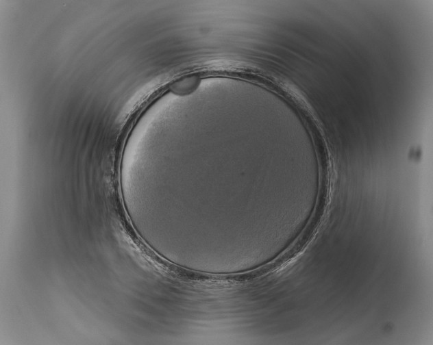 X0000115090930200911171214
