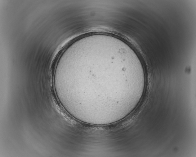 X0000115090931200911171214
