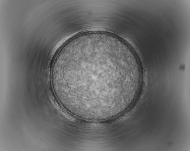 X0000115090933200911171214