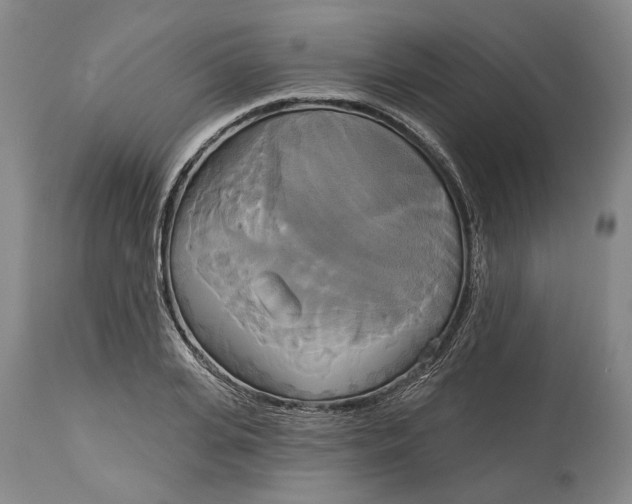 X0000115090935200911171214
