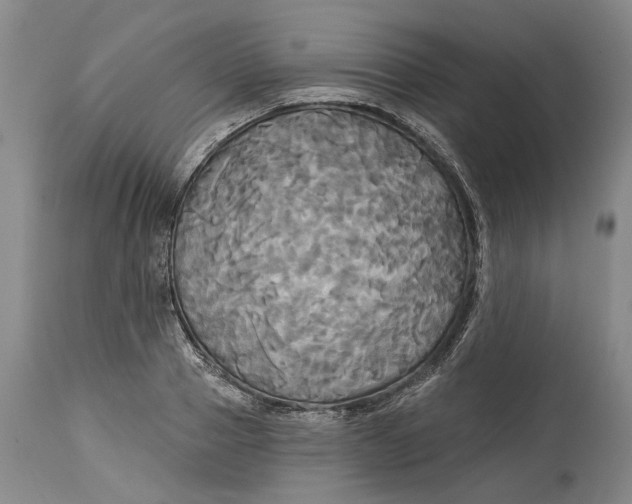 X0000115090937200911171214