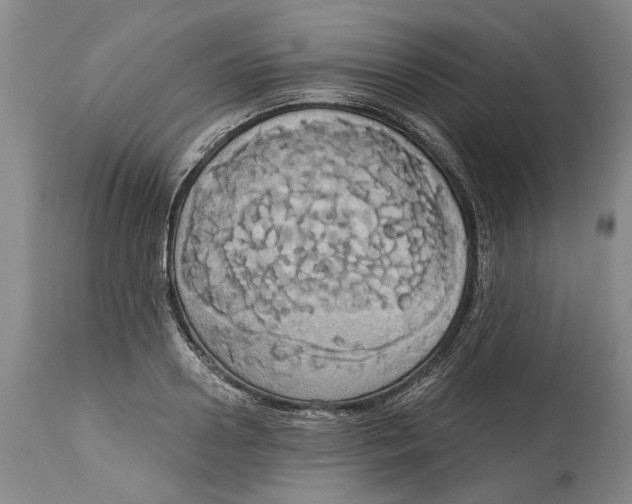 X0000115090938200911171214