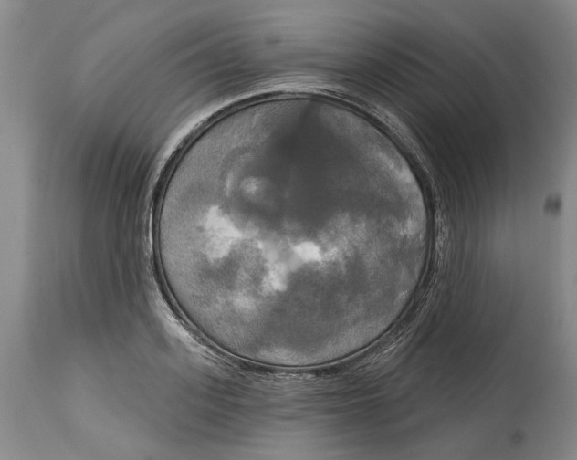 X0000115090939200911171214