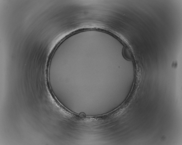X0000115090943200911171214