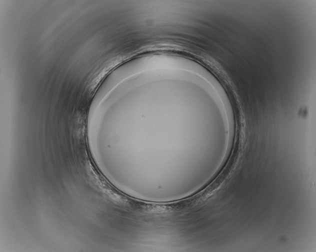 X0000115090945200911171214