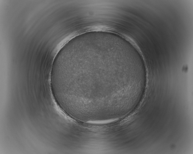 X0000115090946200911171214