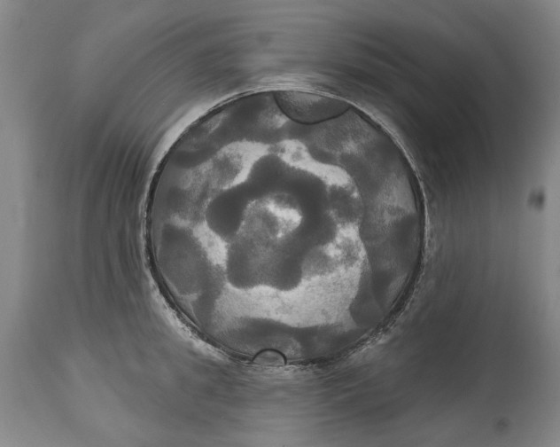 X0000115090949200911171214
