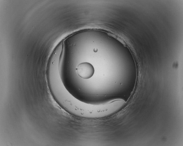 X0000115090950200911171214