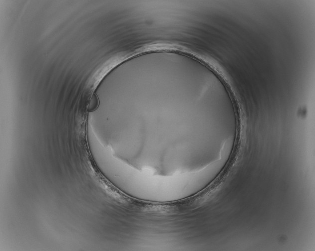 X0000115090953200911171214