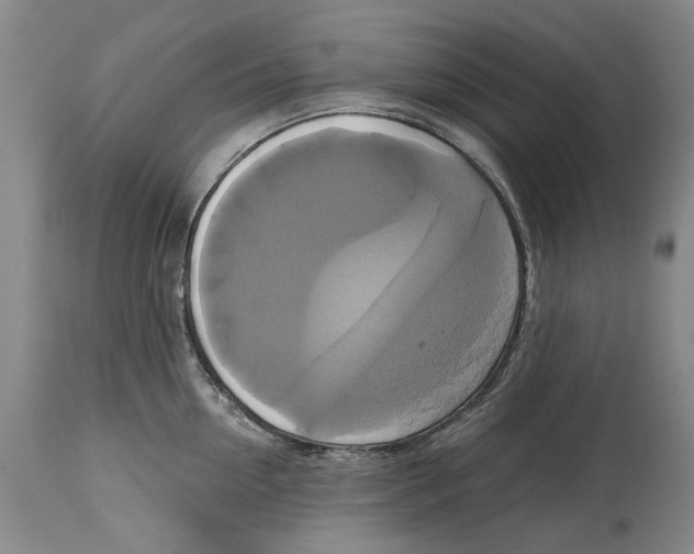 X0000115090954200911171214