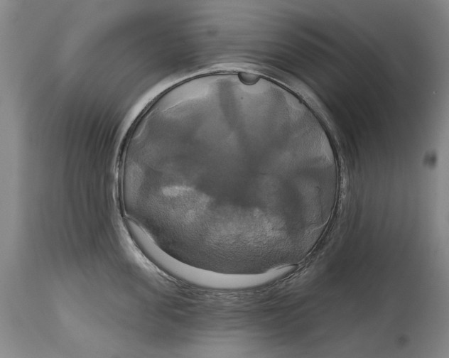 X0000115090955200911171214