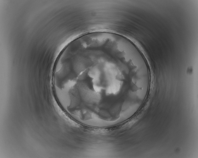 X0000115090957200911171214