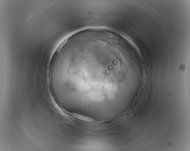X0000115090959200911171214