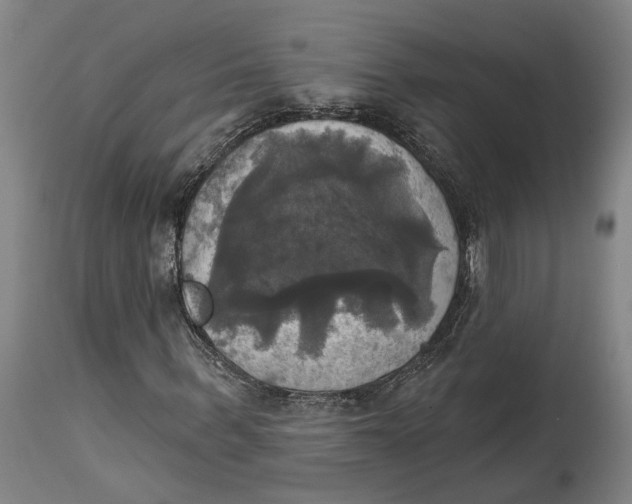 X0000115090963200911171214