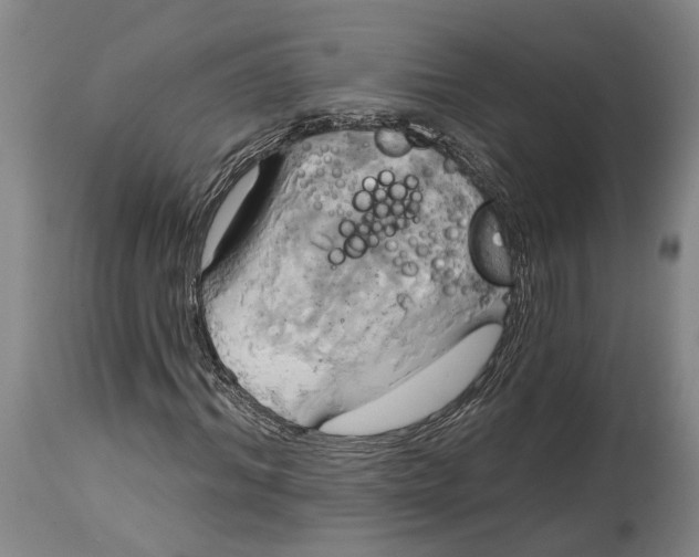 X0000115090964200911171214