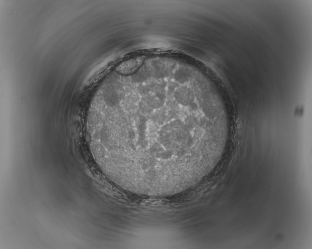 X0000115090967200911171214