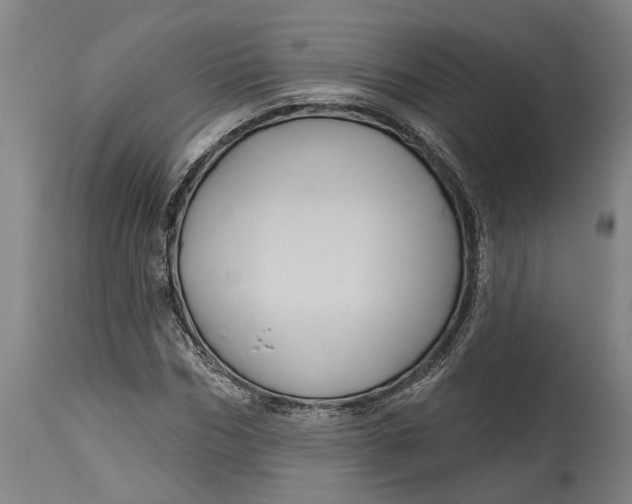 X0000115090970200911171214