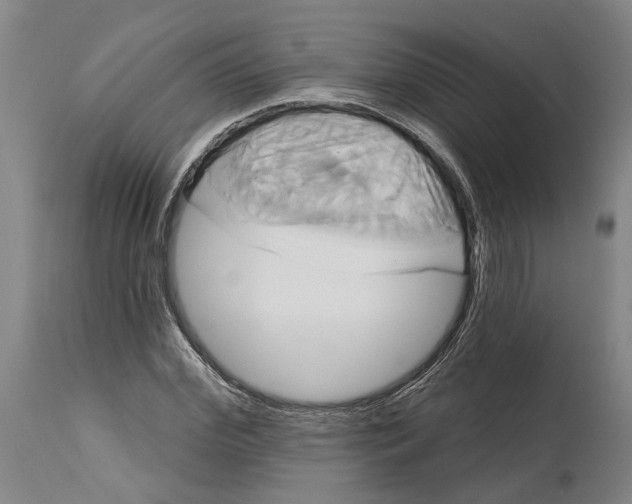 X0000115090972200911171214