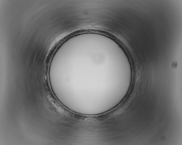 X0000115090974200911171213