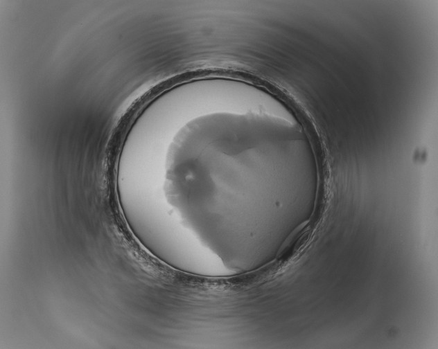 X0000115090975200911171213