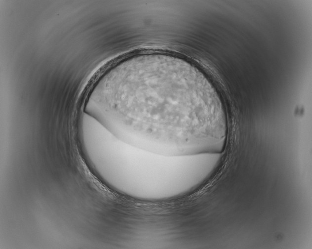 X0000115090976200911171213
