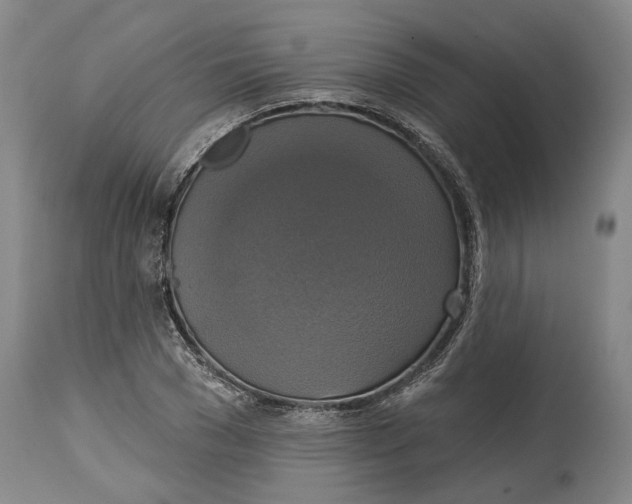 X0000115090977200911171213
