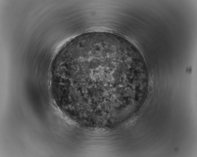 X0000115090979200911171213