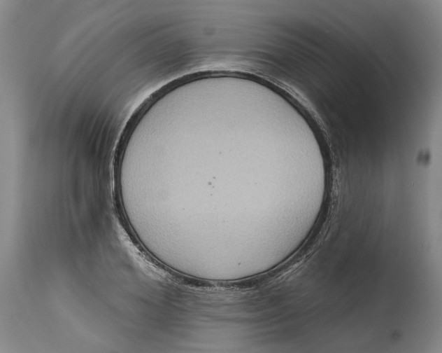 X0000115090980200911171213
