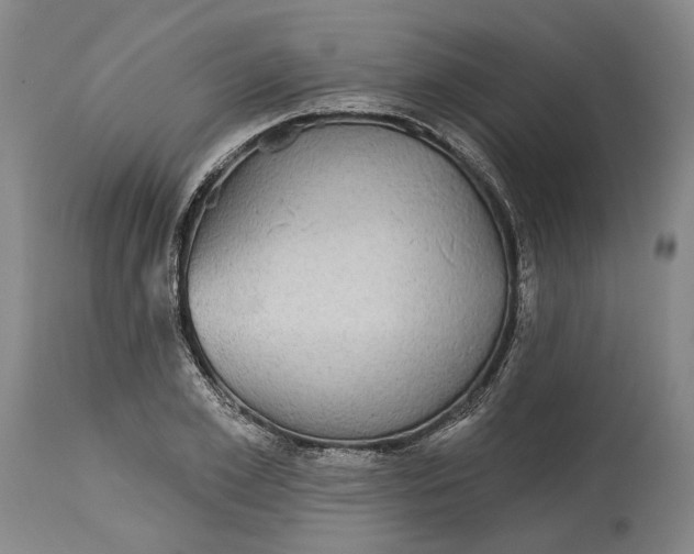 X0000115090981200911171213