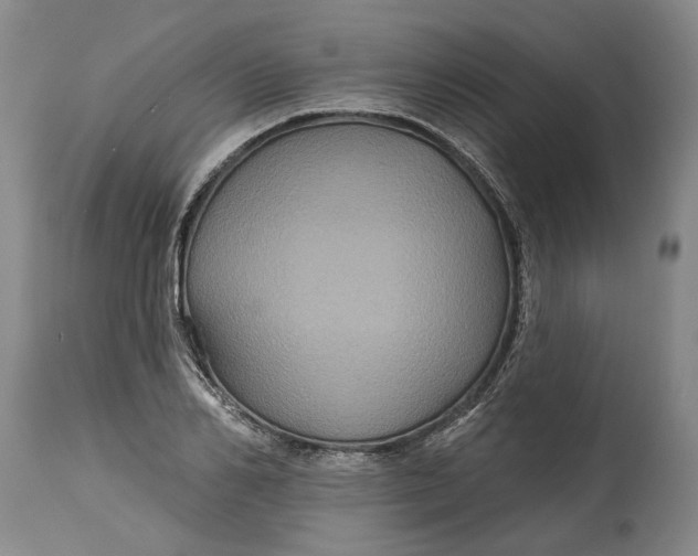 X0000115090982200911171213