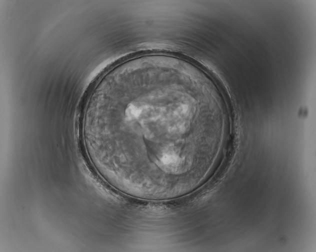 X0000115090983200911171213