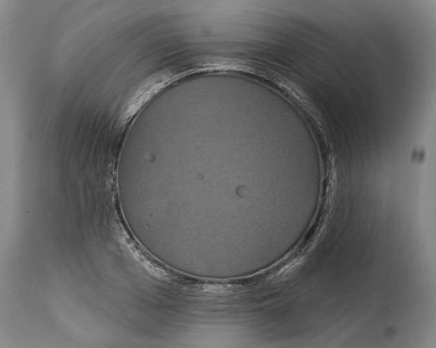 X0000115090985200911171213