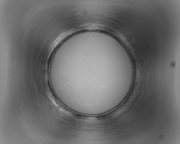 X0000115090986200911171213