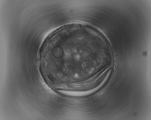 X0000115090987200911171213