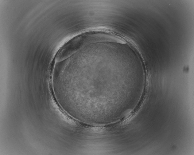 X0000115090989200911171213