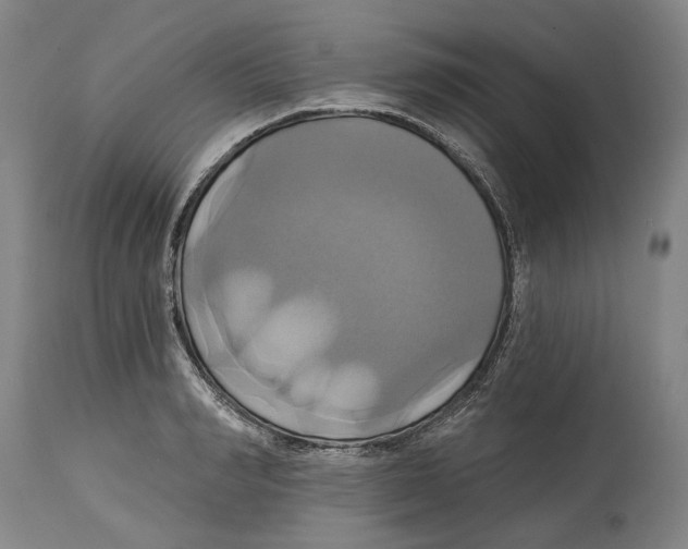 X0000115090990200911171213