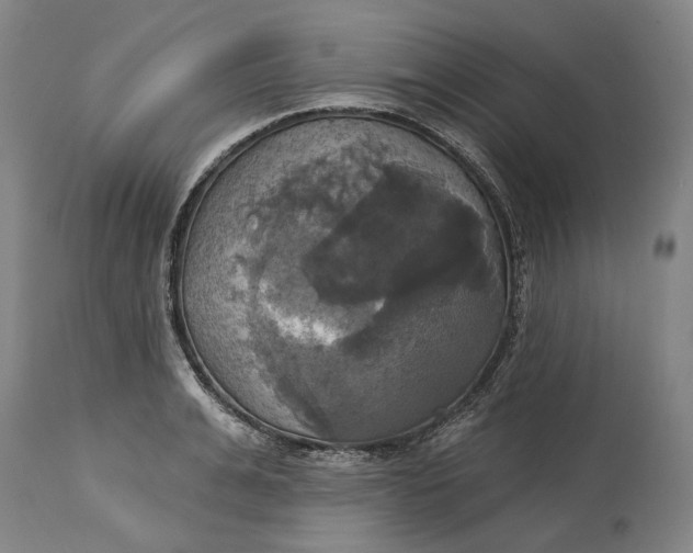 X0000115090991200911171213