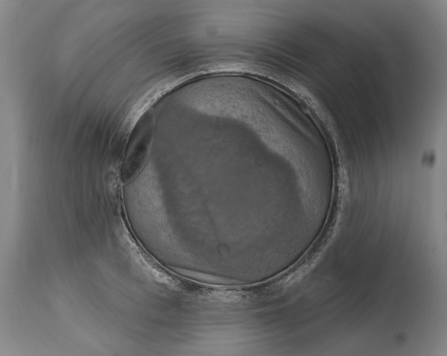 X0000115090993200911171213