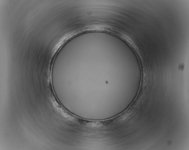 X0000115090994200911171213