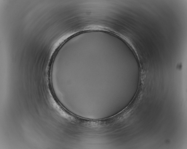 X0000115090995200911171213