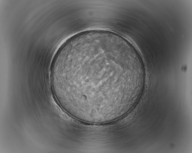 X0000115090996200911171213