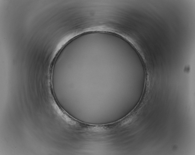 X0000115090998200911171213