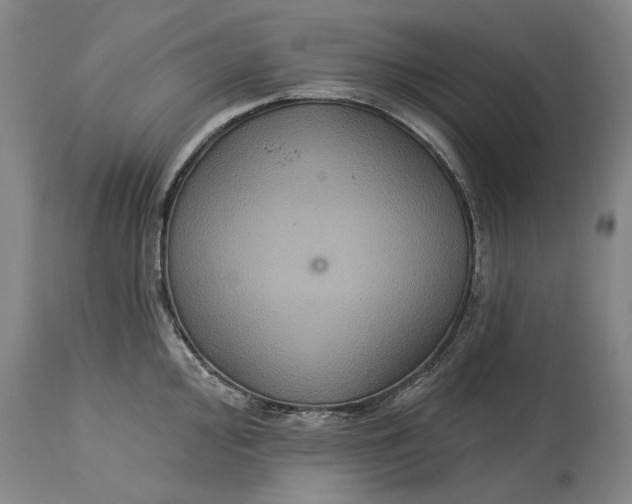 X0000115091000200911171213