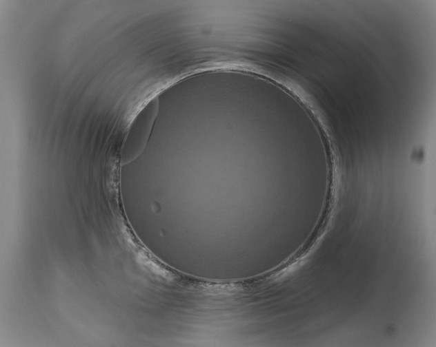 X0000115091001200911171213