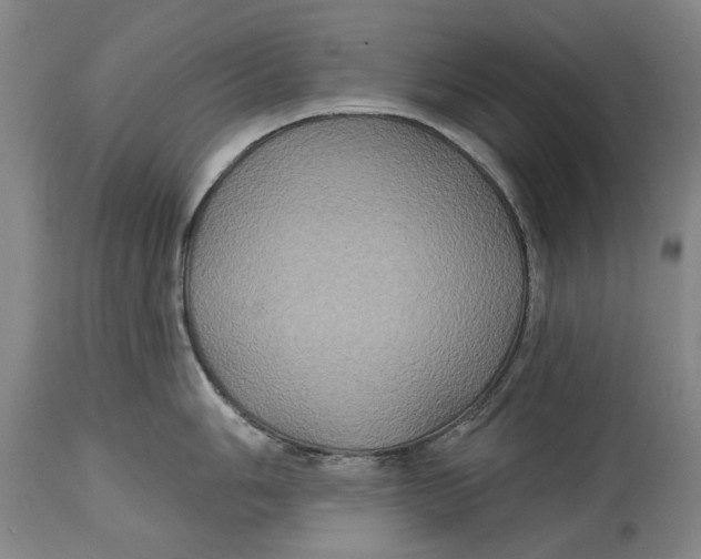 X0000115091006200911171213