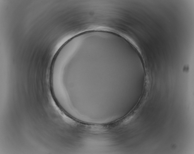 X0000115091007200911171213
