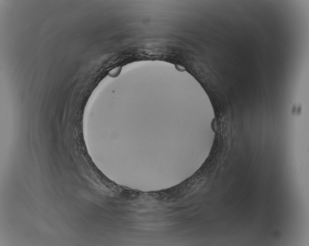 X0000115091009200911171212