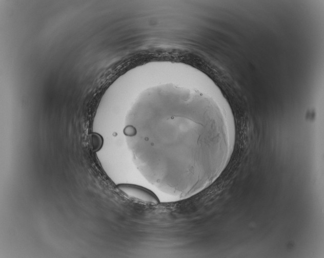 X0000115091013200911171212