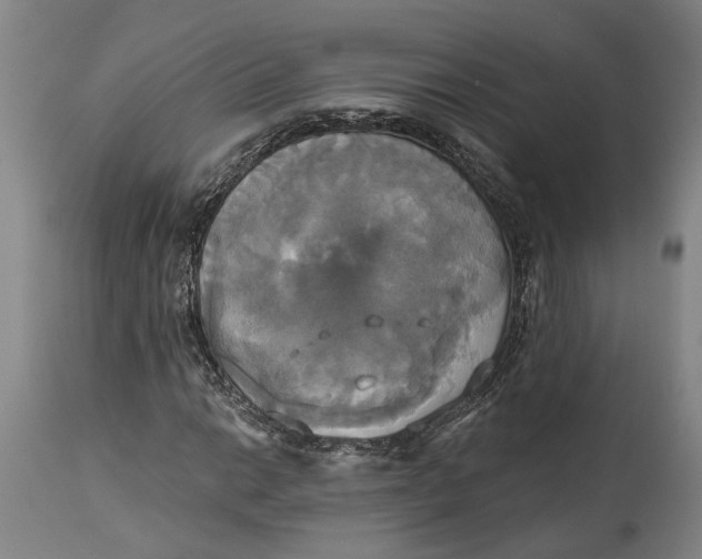 X0000115091014200911171212