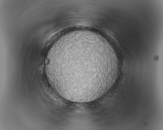 X0000115091015200911171212